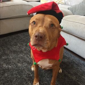 Meet your Posher, Dawn